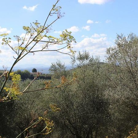 Country House Il Covo Della Civetta Barberino di Val dʼElsa Zewnętrze zdjęcie