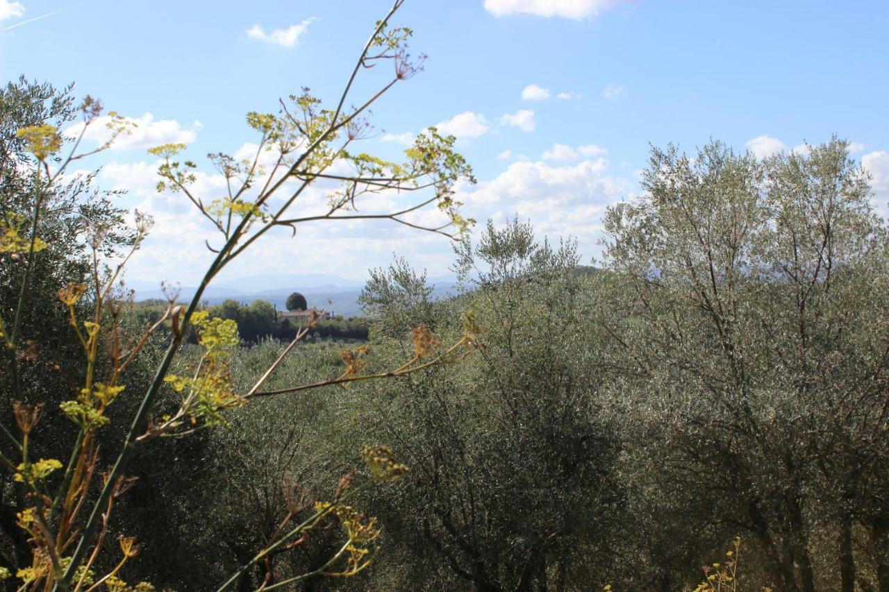 Country House Il Covo Della Civetta Barberino di Val dʼElsa Zewnętrze zdjęcie